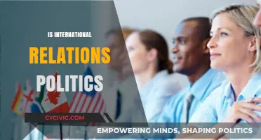 Is International Relations Politics? Exploring the Intricate Nexus of Power and Diplomacy