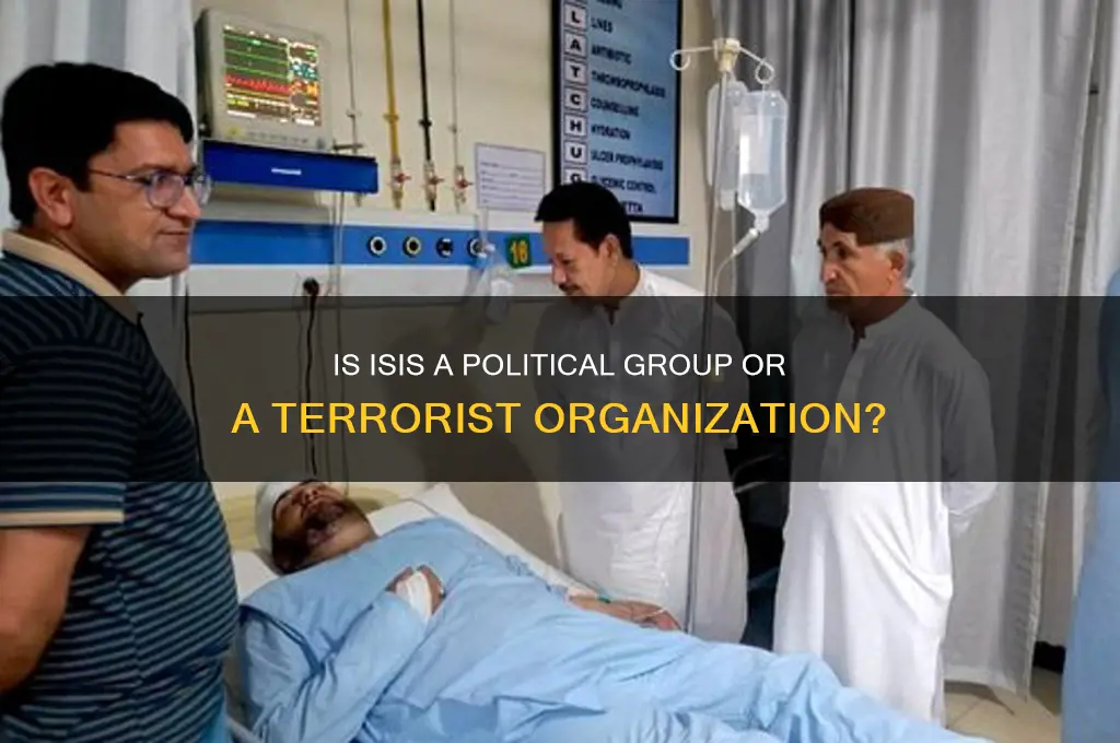 is isis a political group