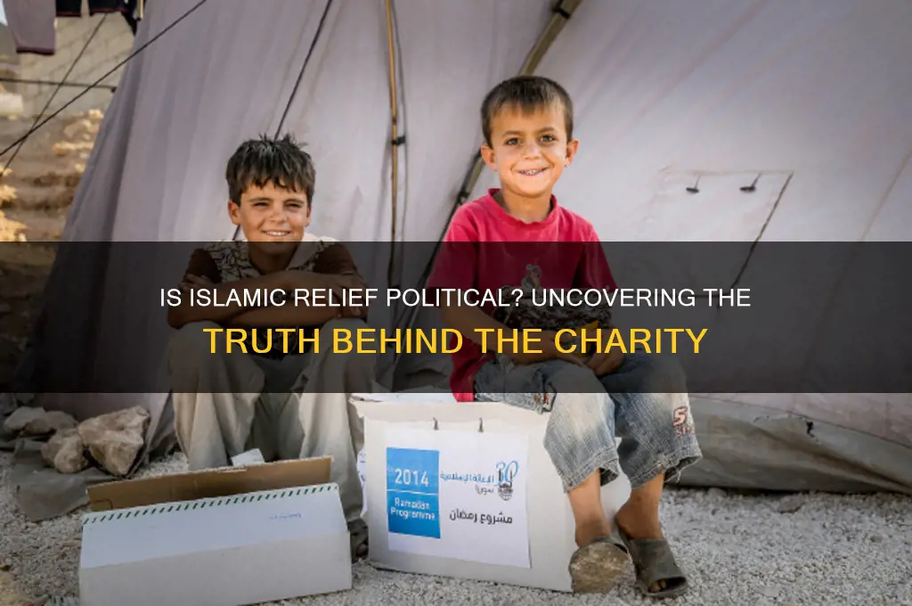 is islamic relief political