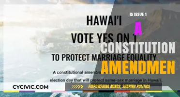 Understanding Issue 1: A Constitutional Amendment?
