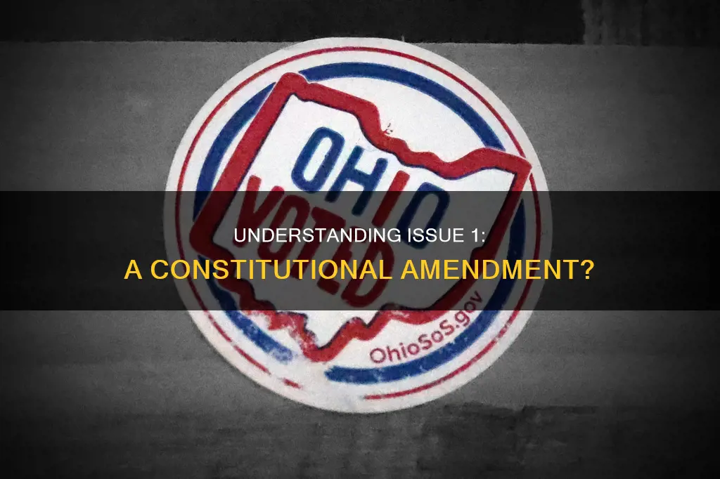 is issue 1 a constitutional amendment