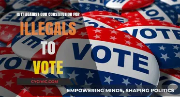 Illegals Voting: Constitutional or Unconstitutional?