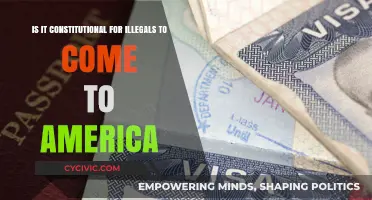 The Right to Asylum: America's Constitutional Dilemma