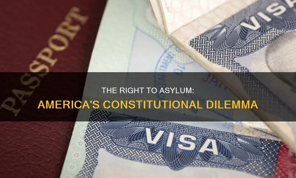 is it constitutional for illegals to come to america