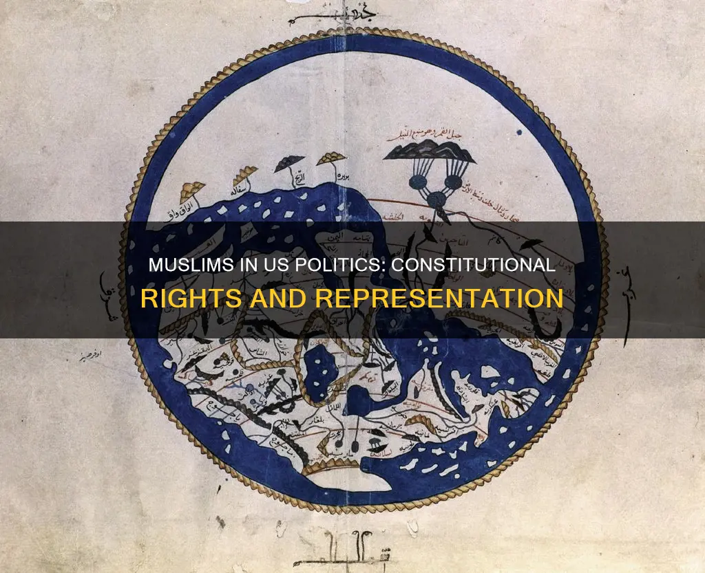 is it constitutional for muslims to be in us politics