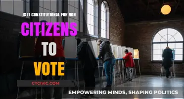 Non-Citizen Voting: Is It Legal or Not?
