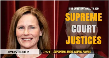 Expanding the Supreme Court: Constitutional?