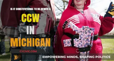 Michigan's CCW Denial: A Constitutional Dilemma