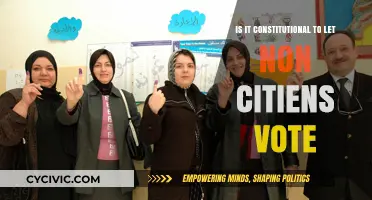 Non-Citizen Voting Rights: Constitutional Conundrum