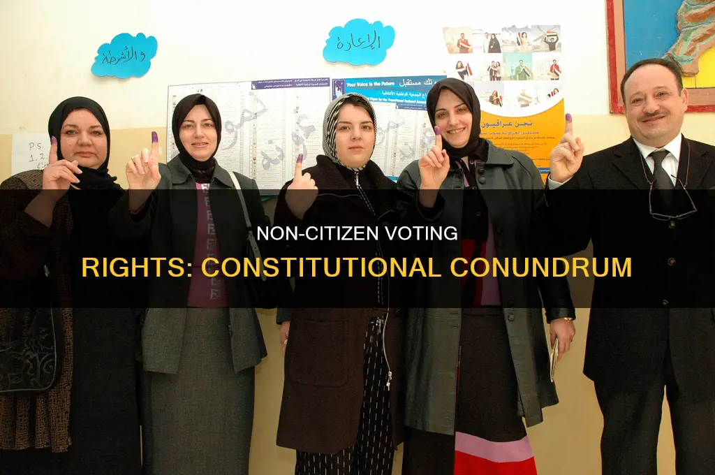 is it constitutional to let non citiens vote
