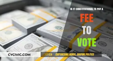 Paying to Vote: Is It Constitutional?