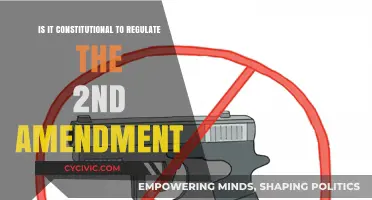 The Second Amendment: Regulate or Respect?