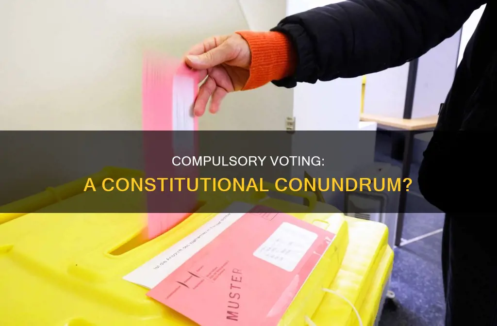 is it constitutional to require people to vote