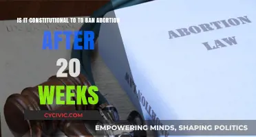 The Constitutionality of 20-Week Abortion Bans Questioned