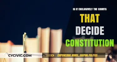 Who Decides Constitutionality?