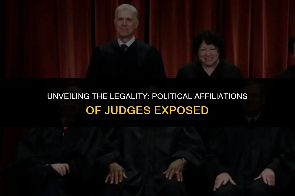is it illegal to put political affiliation of judges
