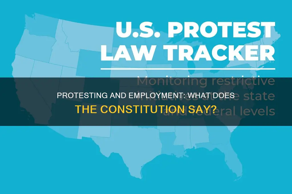 is it in constitution to protest and keep job