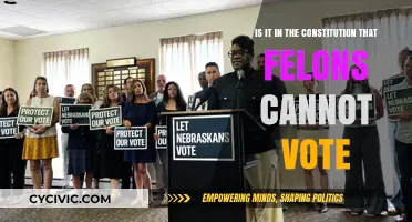 The Right to Vote: Felons and the Constitution