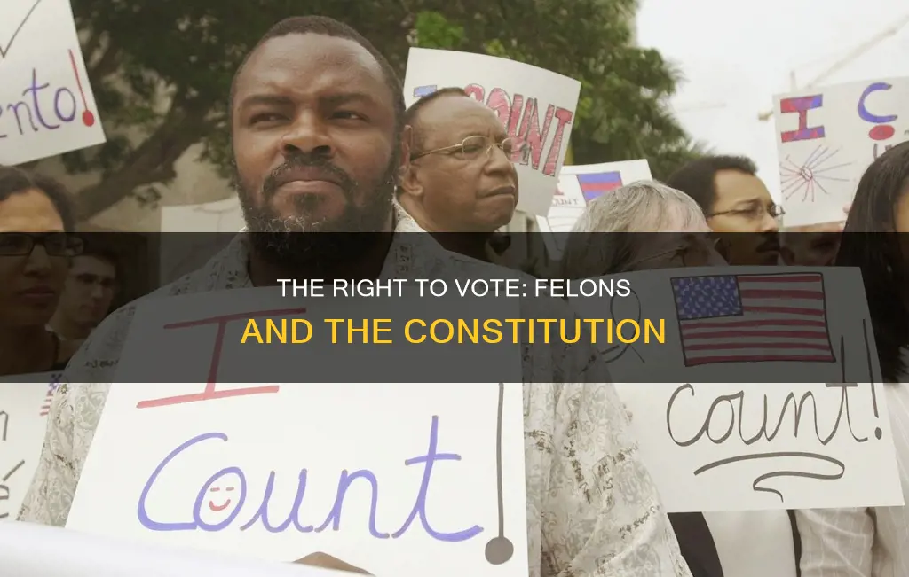 is it in the constitution that felons cannot vote