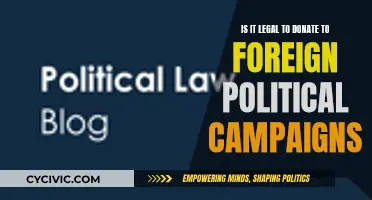 Foreign Political Campaign Donations: Legal or Not?