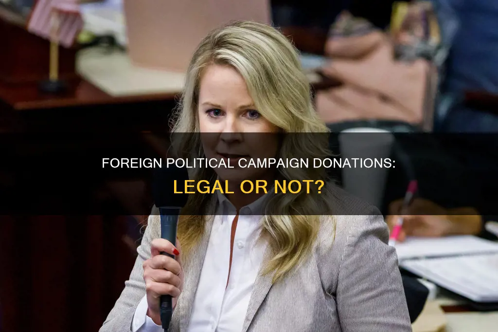 is it legal to donate to foreign political campaigns