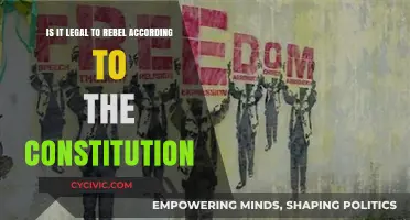 Rebellion Legality: Exploring Constitutional Rights and Limits