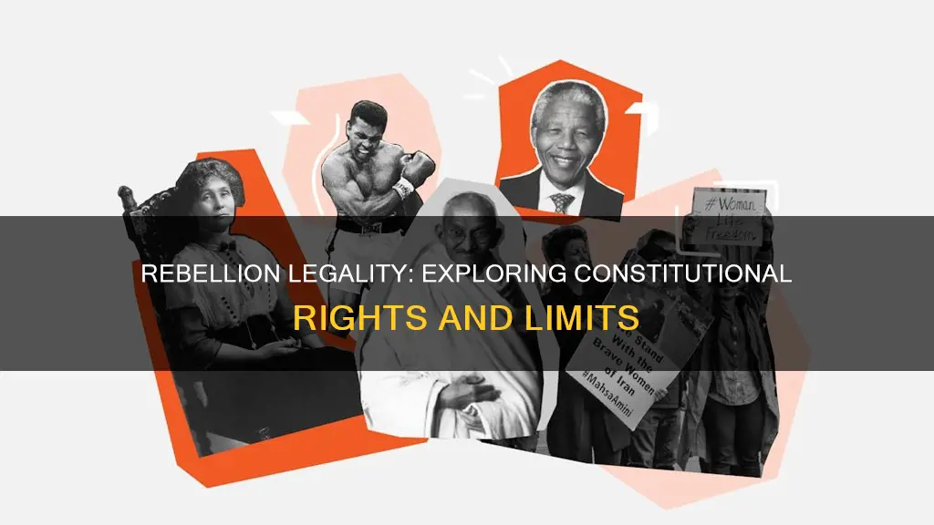 is it legal to rebel according to the constitution