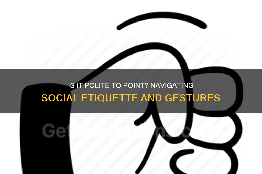 is it polit to point