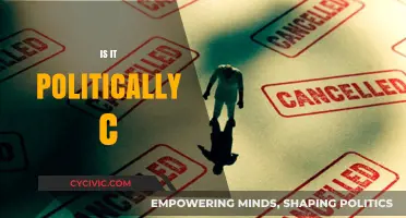 Is It Politically Correct? Navigating Modern Sensitivities and Social Norms