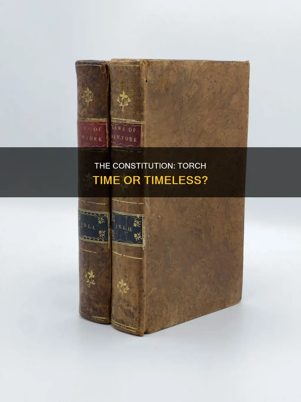 is it time to torch the constitution new yorker