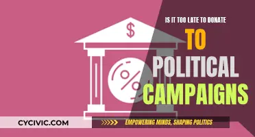 Donating to Political Campaigns: Is It Too Late?