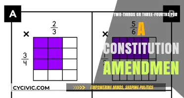 Understanding the Complexities of Constitutional Amendments