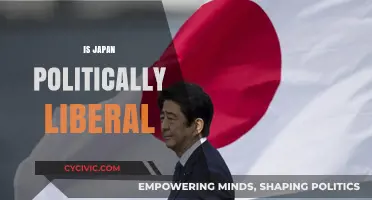 Is Japan Politically Liberal? Exploring Its Governance and Ideological Stance