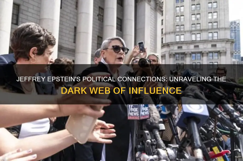 is jeffrey epstein politics