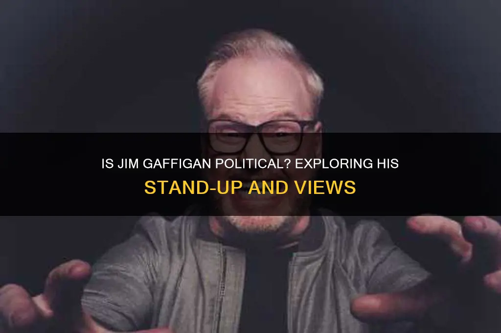 is jim gaffigan political