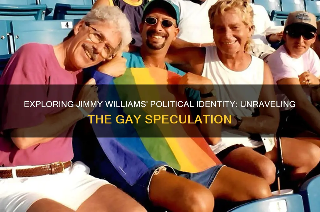 is jimmy williams politics gay