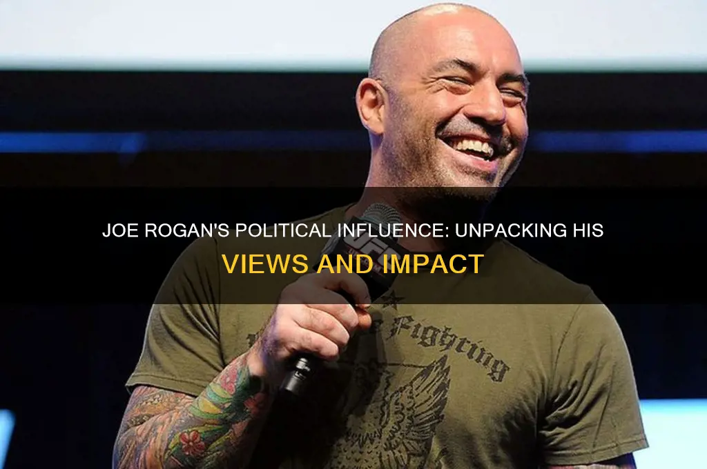 is joe rogan politics