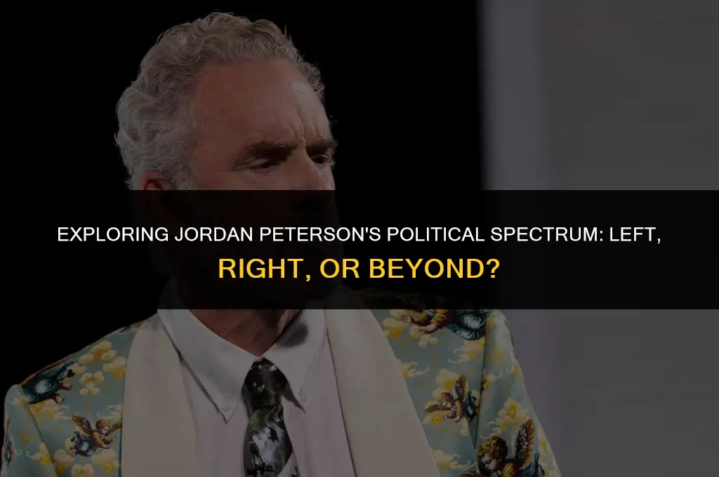 is jordan peterson left or right politics