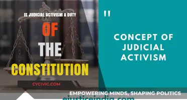 Judicial Activism: Friend or Foe of the Constitution?