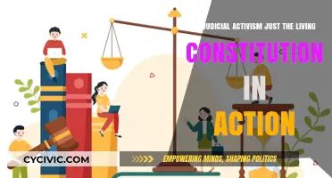 Judicial Activism: Living Constitution in Action?