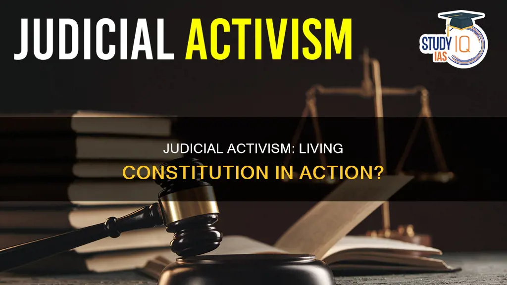 is judicial activism just the living constitution in action