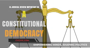 Judicial Review: Democracy's Guardian