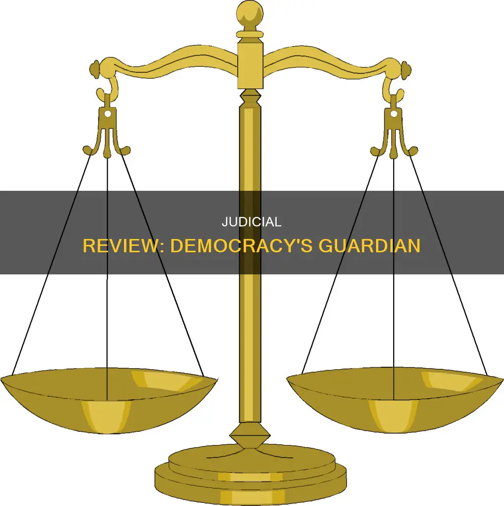 is judicial review important in a constitutional democracy