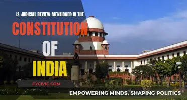 Judicial Review: India's Constitution and its Silence