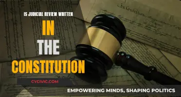 Judicial Review: A Constitutional Grey Area?