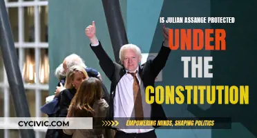 Assange's Constitutional Rights: Protected or Not?