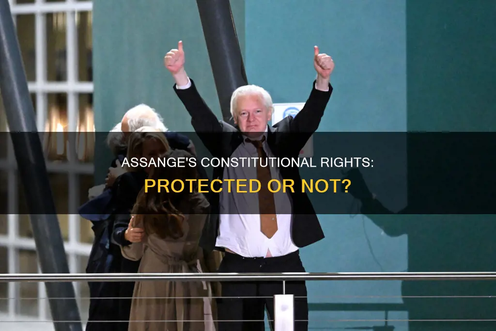 is julian assange protected under the constitution