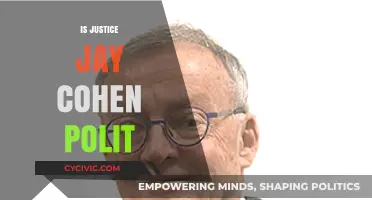 Exploring Justice Jay Cohen's Political Leanings: Unbiased or Partisan?