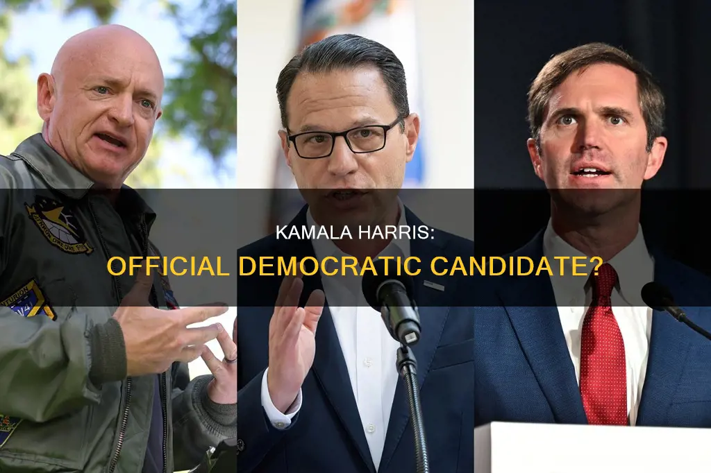is kamala harris the official democratic candidate
