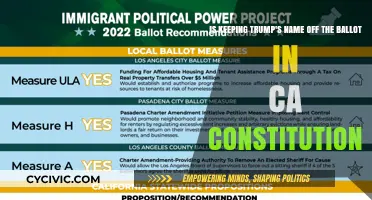 Trump's Ballot Battle: Is It Constitutional?